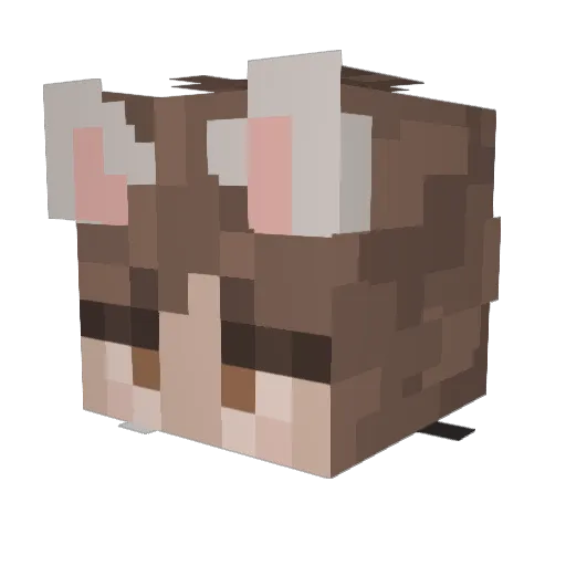 bigspoonman69 Minecraft avatar head, 3D render