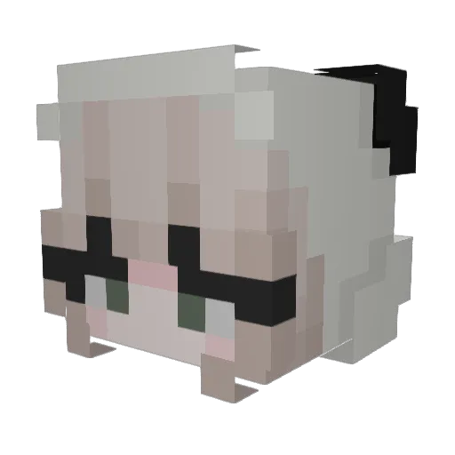 bigt1ttyg0thgf Minecraft avatar head, 3D render