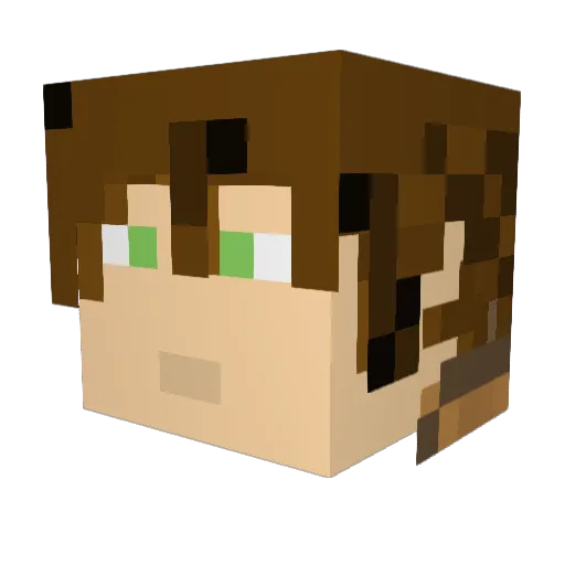 bigteabagger Minecraft avatar head, 3D render