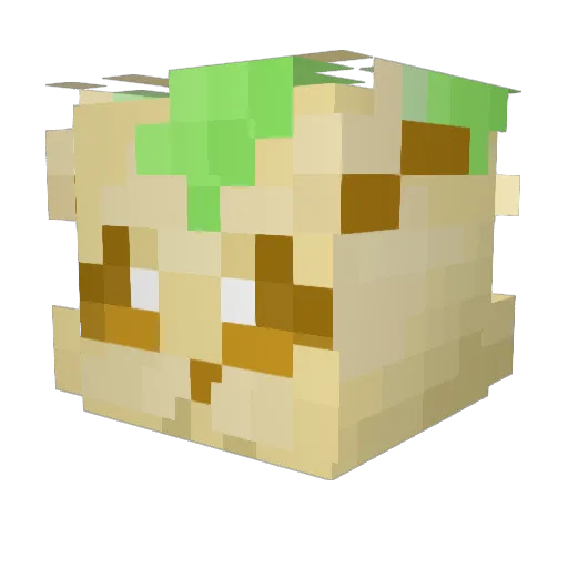 bigthingy Minecraft avatar head, 3D render