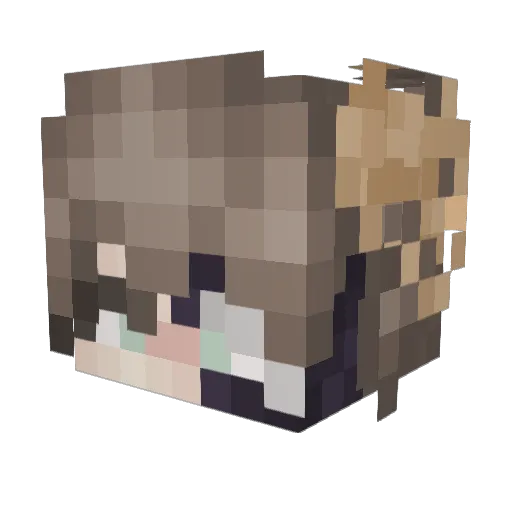 bigtjb Minecraft avatar head, 3D render