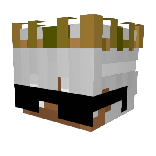 bigtoecom2 Minecraft avatar head, 3D render