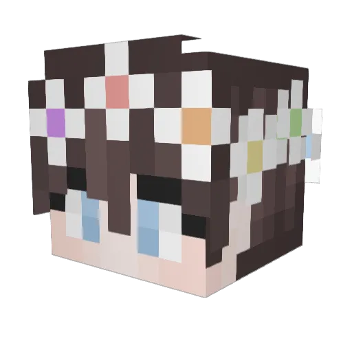 bigtoyedboy Minecraft avatar head, 3D render