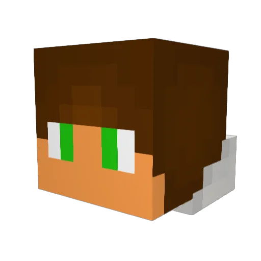 bigtp1003 Minecraft avatar head, 3D render