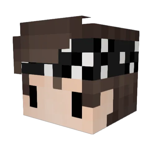 bigvillager Minecraft avatar head, 3D render