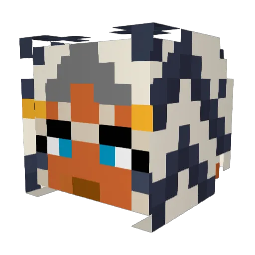 bigw1iener Minecraft avatar head, 3D render