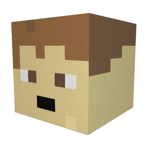 bigwill20 Minecraft avatar head, 3D render
