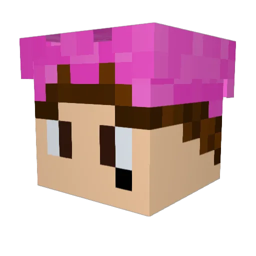 bigz630 Minecraft avatar head, 3D render