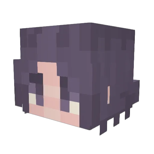 biida Minecraft avatar head, 3D render