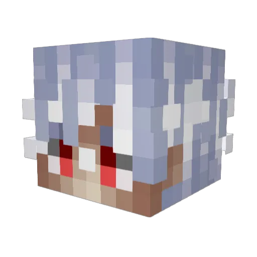 biielsa Minecraft avatar head, 3D render