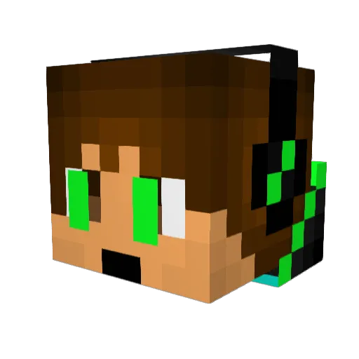 biiigoo Minecraft avatar head, 3D render