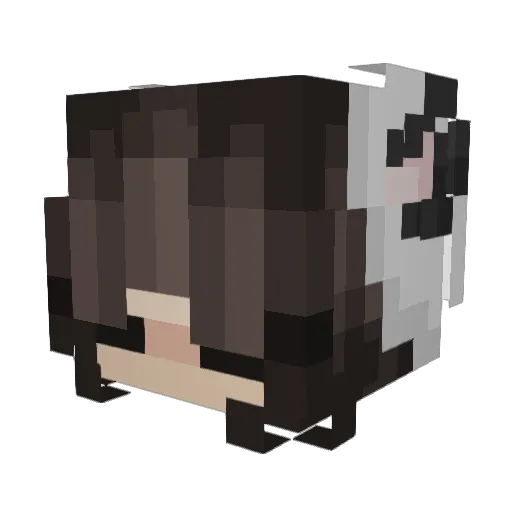 biiir Minecraft avatar head, 3D render