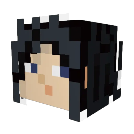 biim Minecraft avatar head, 3D render