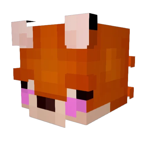 biinx_ Minecraft avatar head, 3D render