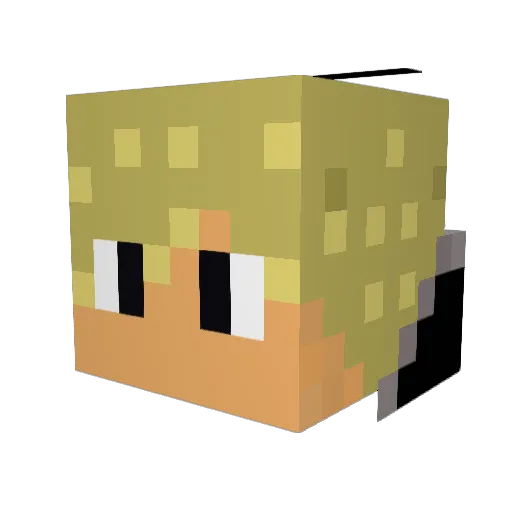 bikerboy45 Minecraft avatar head, 3D render