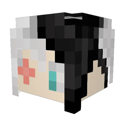 bikkoism Minecraft avatar head, 3D render