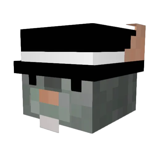 bilgefare Minecraft avatar head, 3D render