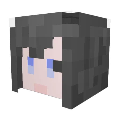 bilifish1234 Minecraft avatar head, 3D render
