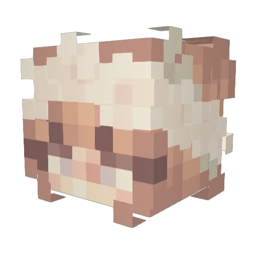 bilkio Minecraft avatar head, 3D render