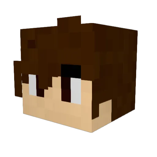 bill_B_MC Minecraft avatar head, 3D render