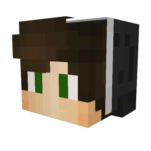 bill_Fly Minecraft avatar head, 3D render