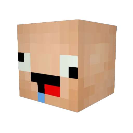 bill_collector69 Minecraft avatar head, 3D render