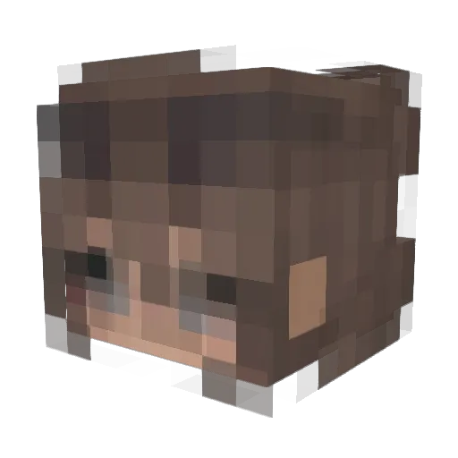 billhadersgf Minecraft avatar head, 3D render
