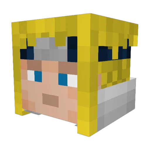billionthswine Minecraft avatar head, 3D render