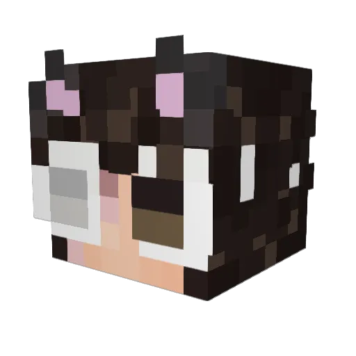 billy_thebest Minecraft avatar head, 3D render