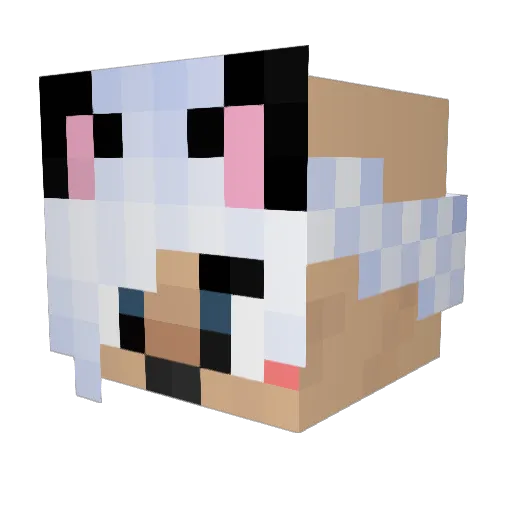 billybobjoe32112 Minecraft avatar head, 3D render