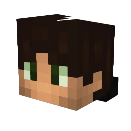 billycoolguy Minecraft avatar head, 3D render
