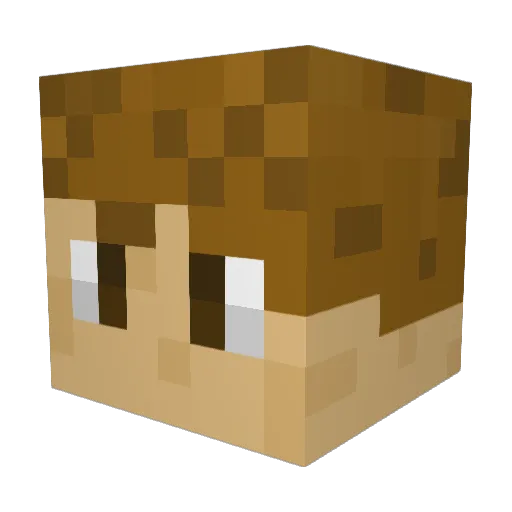 bimsmc Minecraft avatar head, 3D render
