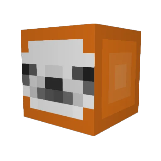 binXX_ Minecraft avatar head, 3D render