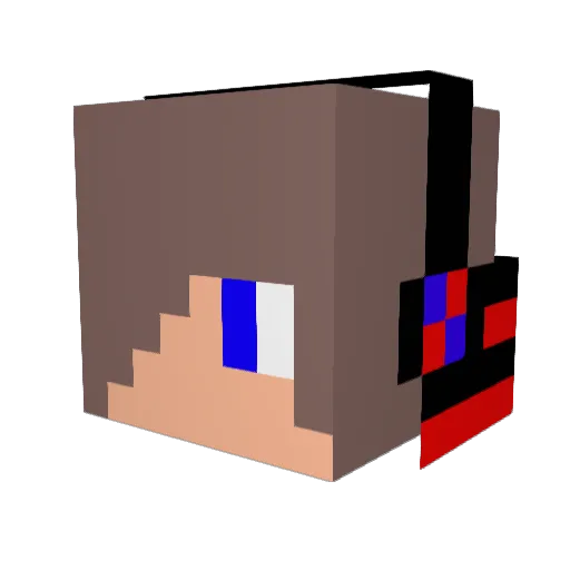 bin_0204 Minecraft avatar head, 3D render