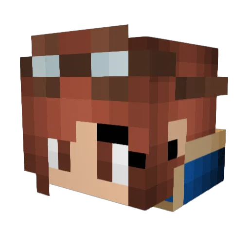 binarybc Minecraft avatar head, 3D render