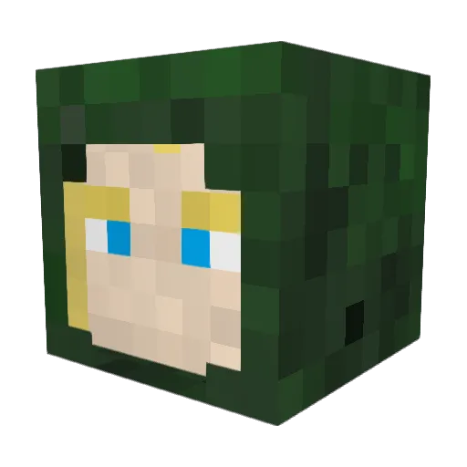 binarynomad Minecraft avatar head, 3D render