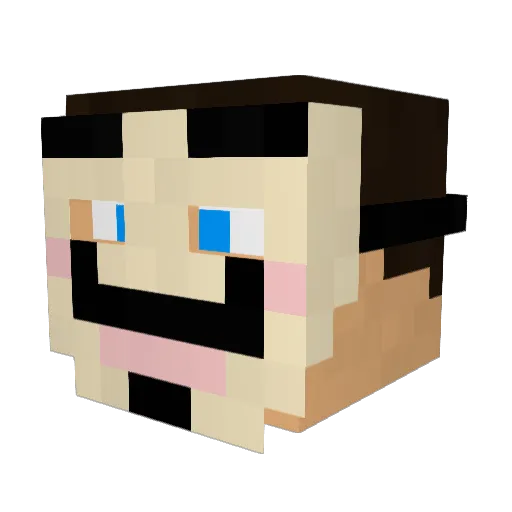 binarypower Minecraft avatar head, 3D render
