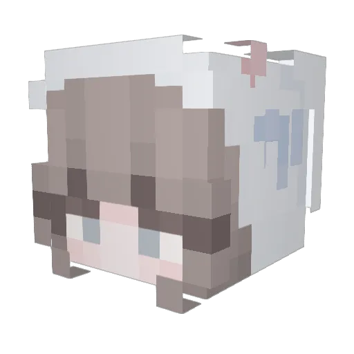 binbim6 Minecraft avatar head, 3D render