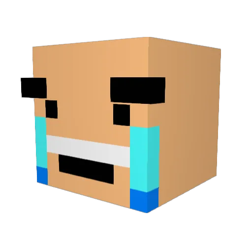 binbinbinradin Minecraft avatar head, 3D render