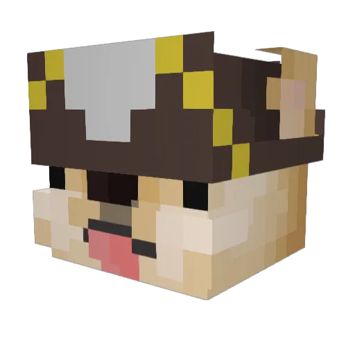 binchili Minecraft avatar head, 3D render