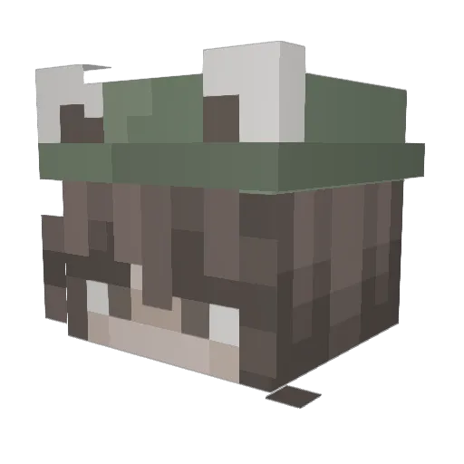 bindieanna Minecraft avatar head, 3D render