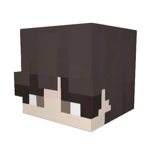 bingawingus Minecraft avatar head, 3D render