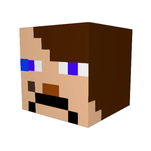 bingbon911 Minecraft avatar head, 3D render