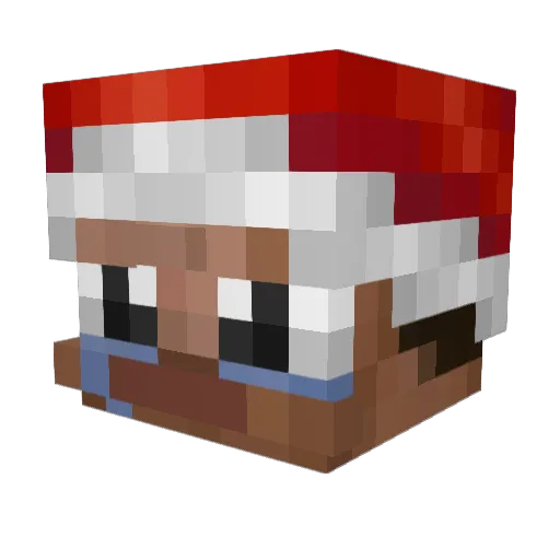 bingbong5913 Minecraft avatar head, 3D render