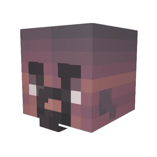 bingbongnonono Minecraft avatar head, 3D render