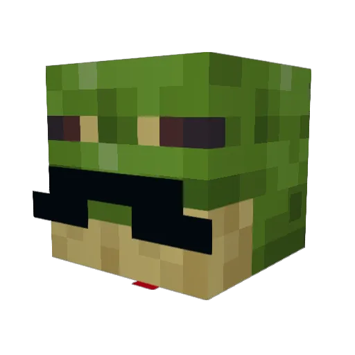 bingo2011 Minecraft avatar head, 3D render