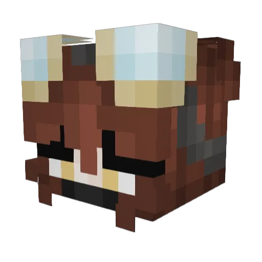 bingomlb Minecraft avatar head, 3D render