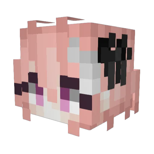 bingus2001 Minecraft avatar head, 3D render