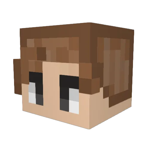 bingusbb Minecraft avatar head, 3D render