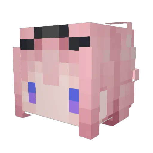 bingwaa Minecraft avatar head, 3D render